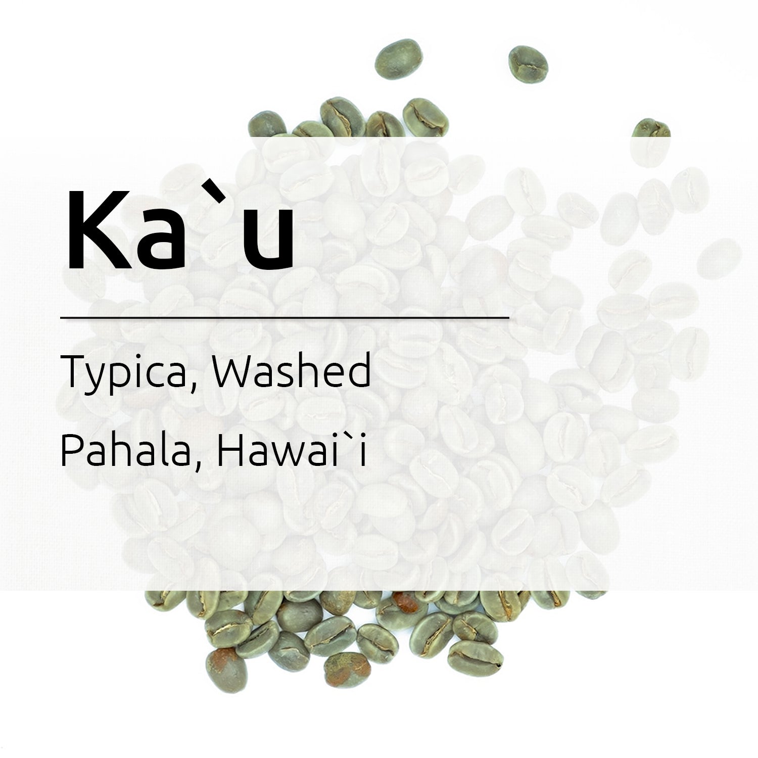 Arabica Typica, Washed, Prime (Hawaii #1), Green Beans, Pahala, Ka`u