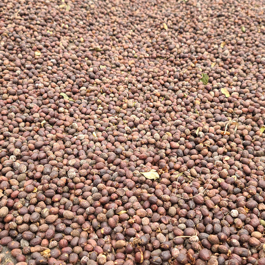 Hawaiian Specialty Coffee Reserve, Roasted Whole Beans 5 Pound, Arabica Typica, Ka`u